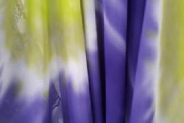 Foto VARIEDADES - No grupo ModaBella Tecidos-RAVERA, você acha tecidos para todos os gostos, todos estilos e eventos. - 7 - Moda Bella Tecidos e Lojas Ravera