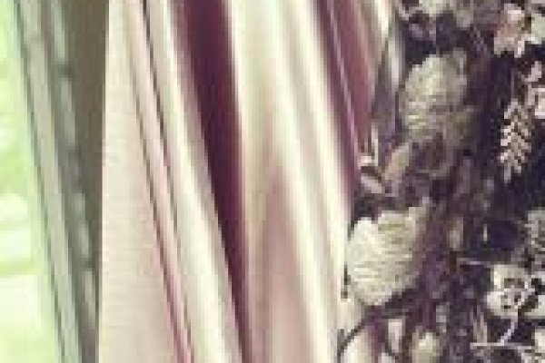 Foto VARIEDADES - VITRINE TONS MARSALA - No grupo ModaBella Tecidos-RAVERA você encontra a maior variedade de artigos em várias cores, padrões de estampas e de bordados. - Tecidos sempre atualizados com as últimas tendências da MODA - 2 - Moda Bella Tecidos e Lojas Ravera