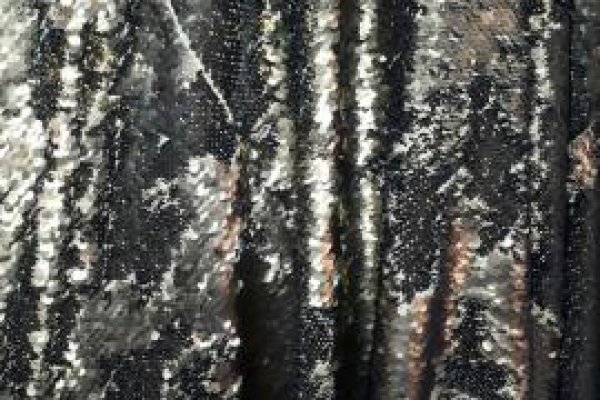 Foto VARIEDADES - DOURADO E VERDE OLIVA - No grupo ModaBella Tecidos-RAVERA você sempre vai encontrar uma variedade enorme de tecidos em várias cores. - 6 - Moda Bella Tecidos e Lojas Ravera