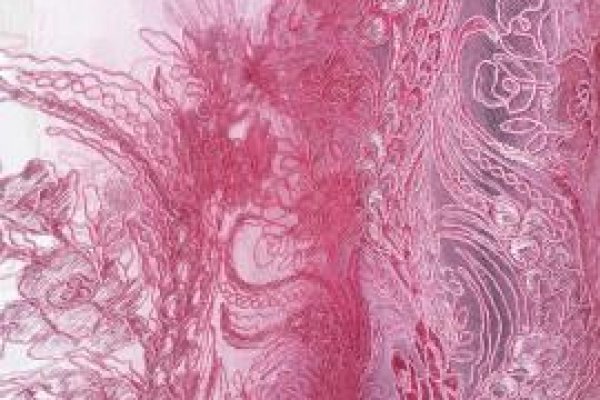 Foto VARIEDADES - ROSÊ AO MARSALA - No grupo ModaBella Tecidos- RAVERA - Você sempre vai encontrar uma variedade enorme de tecidos em vários padrões e cores, sempre atualizados com as tendências da MODA. - 3 - Moda Bella Tecidos e Lojas Ravera