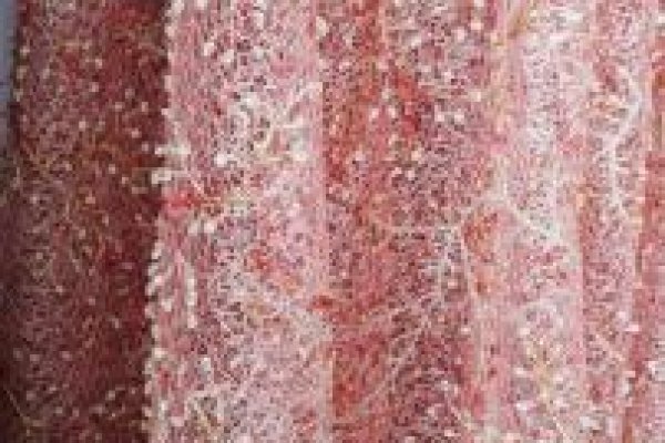 Foto VARIEDADES - TONS CORAL, AMARELO E PINK!!! - 8 - Moda Bella Tecidos e Lojas Ravera