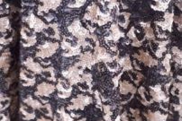 Foto VARIEDADES - MARROM AO NUDE - O grupo ModaBella Tecidos - RAVERA sempre com uma grande variedade de tecidos em vários padrões de cores e estampas e sempre atualizados com as últimas tendências da MODA. - 5 - Moda Bella Tecidos e Lojas Ravera