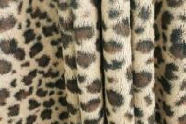 Foto VARIEDADES - TONS DOURADOS - O grupo ModaBella Tecidos - RAVERA sempre com uma grande variedade de tecidos em vários padrões de cores e estampas e sempre atualizados com as últimas tendências da MODA. - 2 - Moda Bella Tecidos e Lojas Ravera