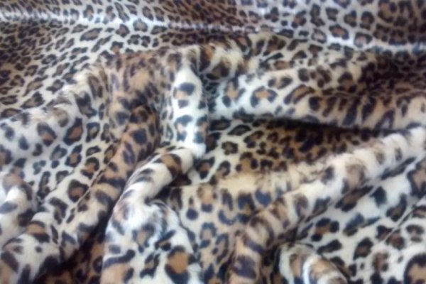 Foto Pele sintética Animal Print Onça 