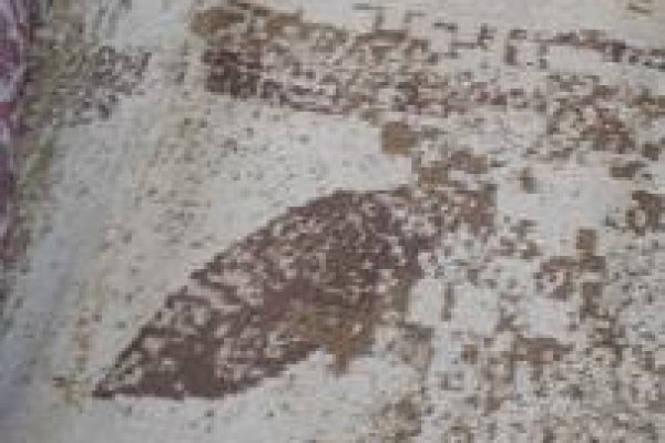 Foto TAPETES VARIADOS 2 - 15 - Moda Bella Tecidos e Lojas Ravera