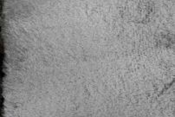 Foto TAPETES VARIADOS 2 - 2 - Moda Bella Tecidos e Lojas Ravera