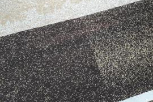 Foto TAPETES VARIADOS  - VÁRIOS PADRÕES DE ESTAMPAS E TAMANHOS - 4 - Moda Bella Tecidos e Lojas Ravera