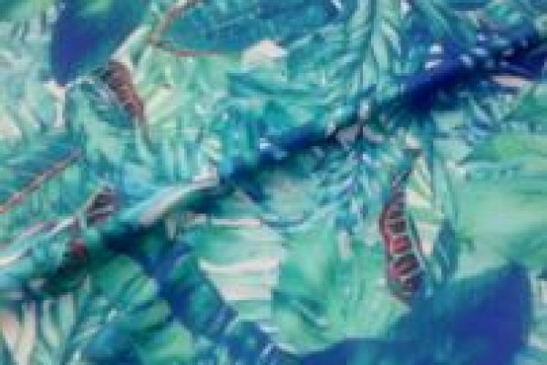 Foto MALHAS COM ESTAMPA DIGITAL - 4 - Moda Bella Tecidos e Lojas Ravera