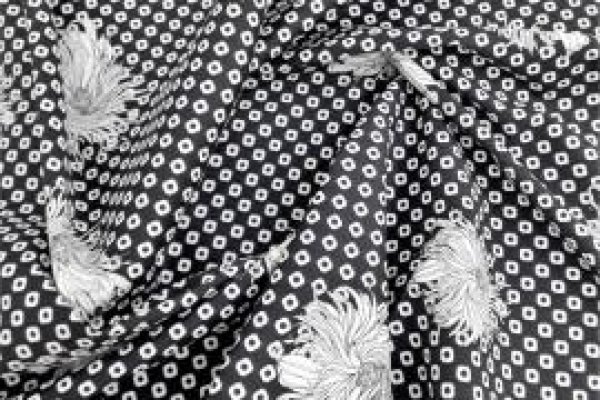 Foto NOVIDADES - BENGALINES ESTAMPADOS - No grupo ModaBella Tecidose RAVERA, acaba de chegara nova linha de bengalines estampadas algodão com elastano: Florais, Pois e Listras - 14 - Moda Bella Tecidos e Lojas Ravera