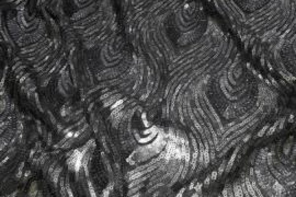 Foto PAETÊS VARIADOS - O paetê é mais um clássico que nunca sai da MODA. No grupo ModaBella Tecidos-RAVERA, vc encontra em várias cores e padrões.Tecidos sempre atualizados com as últimas tendências da MODA - 7 - Moda Bella Tecidos e Lojas Ravera