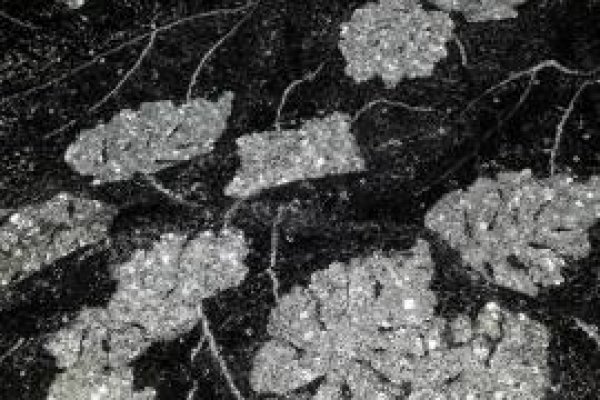 Foto PAETÊS VARIADOS - O paetê é mais um clássico que nunca sai da MODA. No grupo ModaBella Tecidos-RAVERA, vc encontra em várias cores e padrões.Tecidos sempre atualizados com as últimas tendências da MODA - 8 - Moda Bella Tecidos e Lojas Ravera